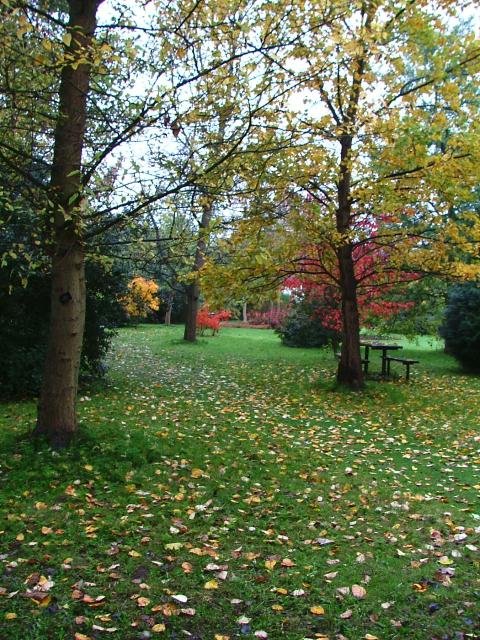 DSCF0591.JPG.jpg