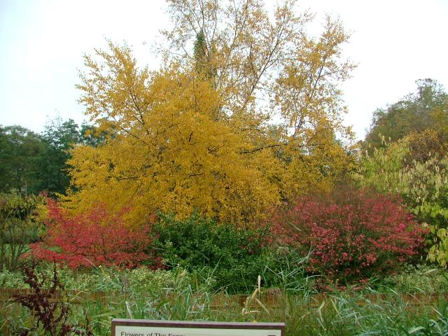 DSCF0641.JPG.jpg