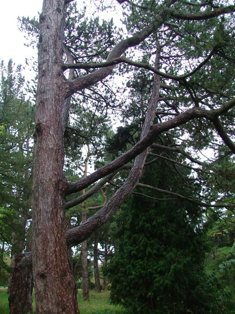 DSCF0642.JPG.jpg