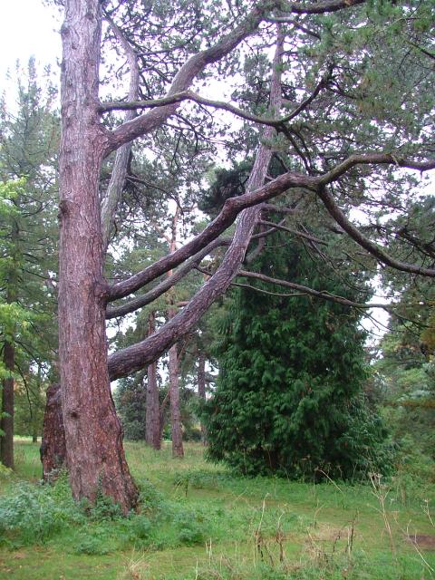 DSCF0643.JPG.jpg