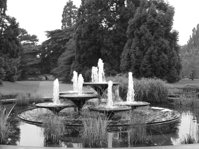 DSCF0644.JPG.jpg