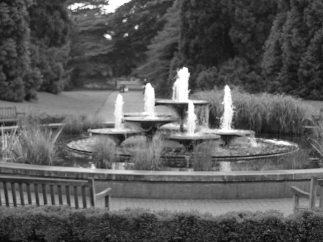 DSCF0645.JPG.jpg