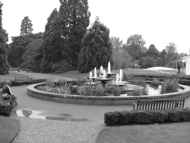 DSCF0646.JPG.jpg