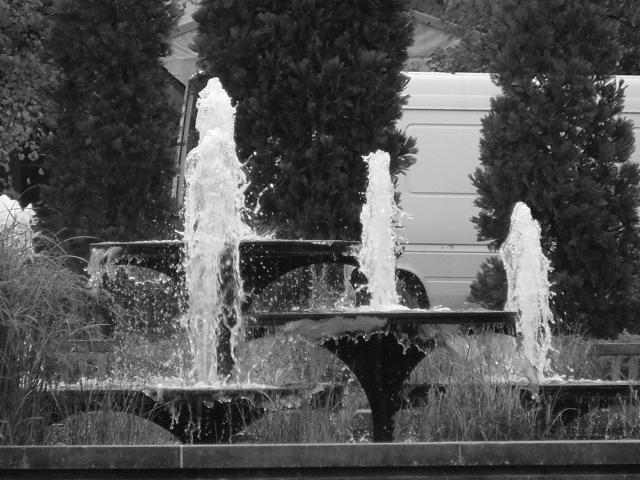 DSCF0649.JPG.jpg