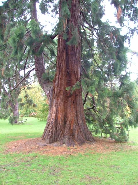 DSCF0651.JPG.jpg