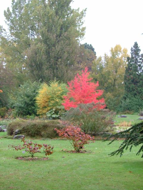 DSCF0652.JPG.jpg