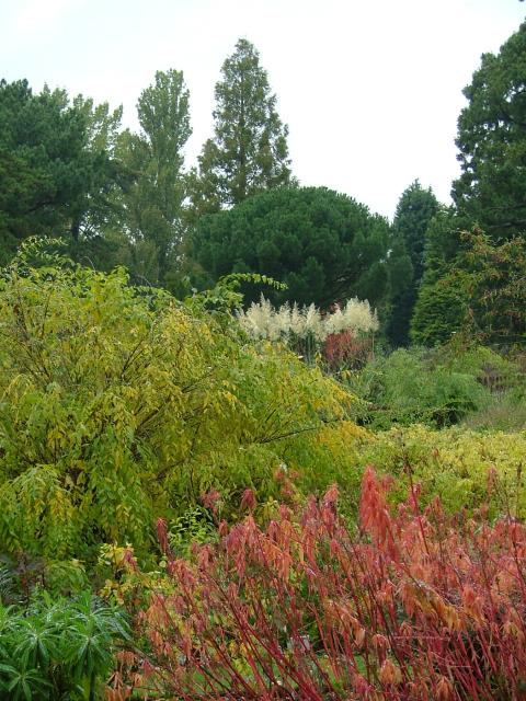 DSCF0660.JPG.jpg