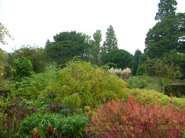 DSCF0662.JPG.jpg
