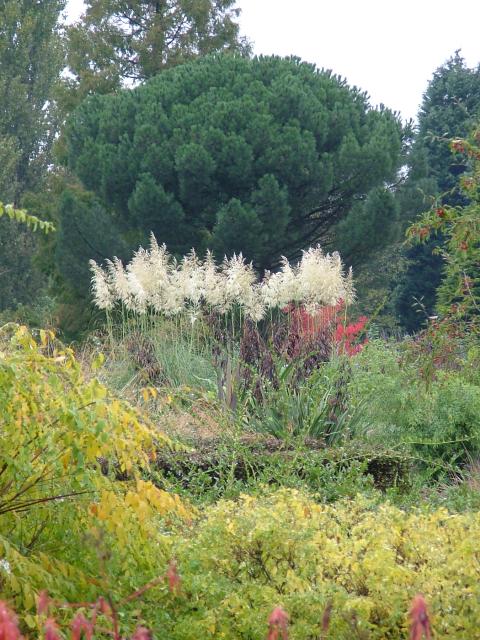 DSCF0663.JPG.jpg