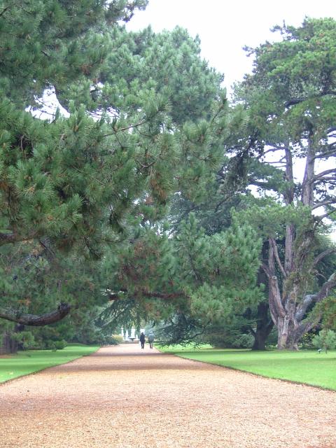 DSCF0683.JPG.jpg