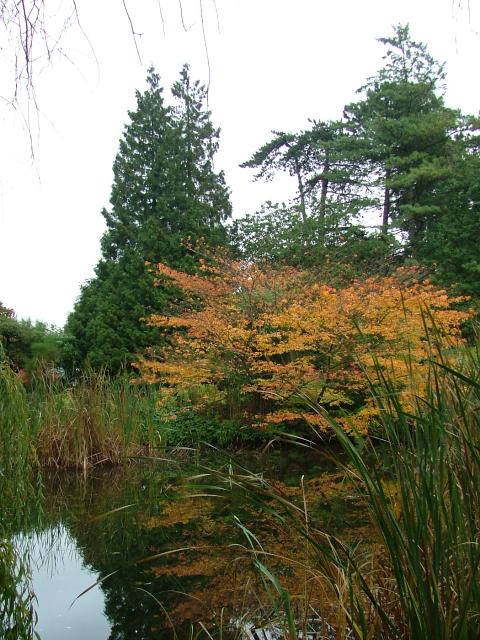 DSCF0684.JPG.jpg