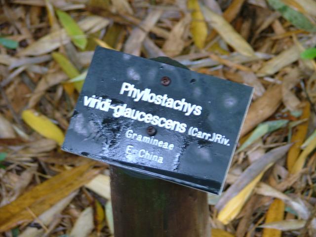 DSCF0685.JPG.jpg