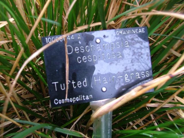 DSCF0689.JPG.jpg