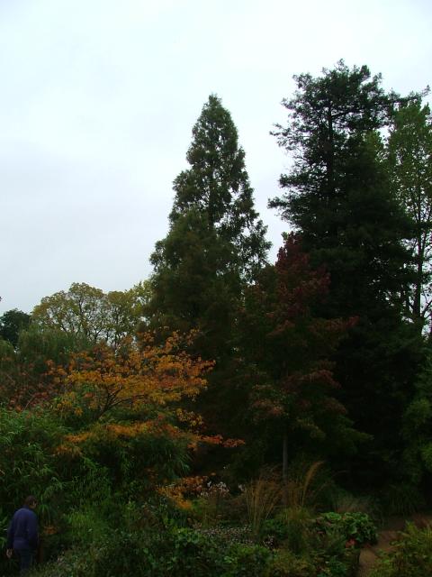 DSCF0708.JPG.jpg
