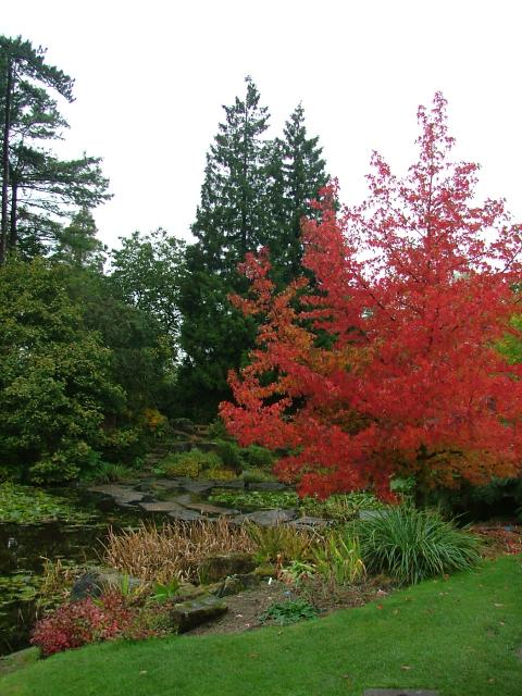 DSCF0710.JPG.jpg