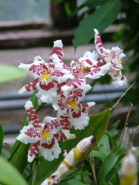 DSCF0714.JPG.jpg