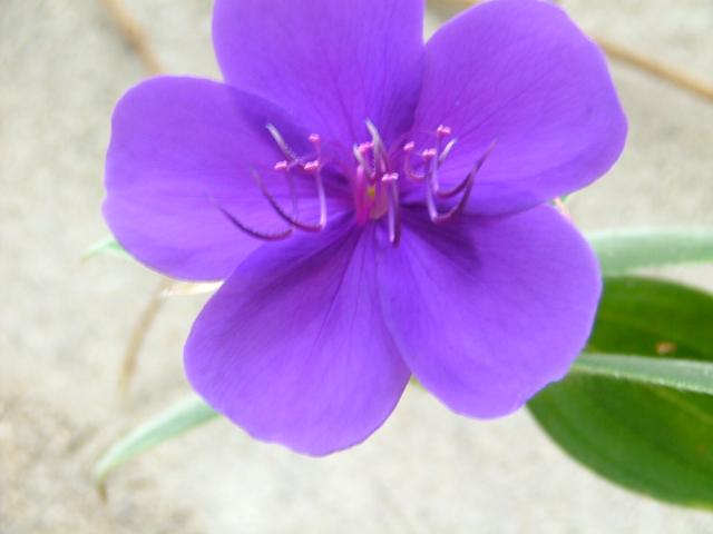 DSCF0716.JPG.jpg