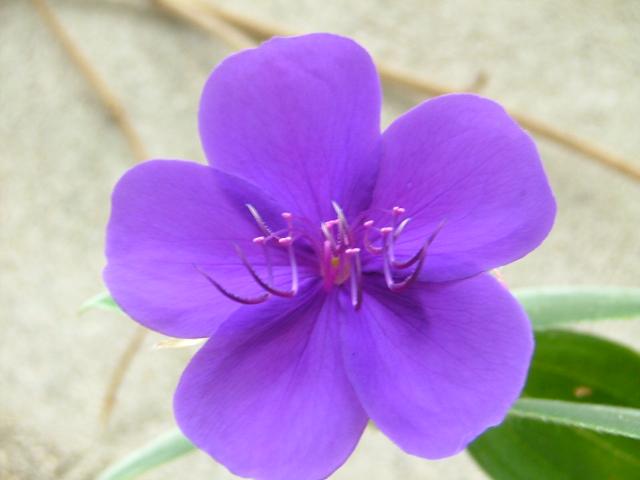DSCF0718.JPG.jpg