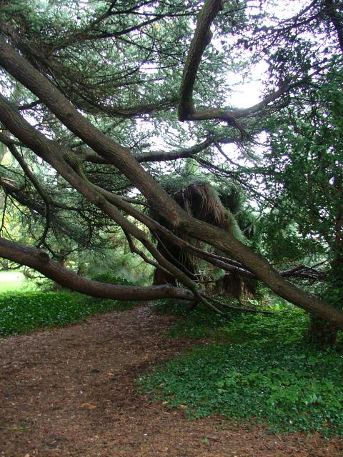 DSCF0733.JPG.jpg