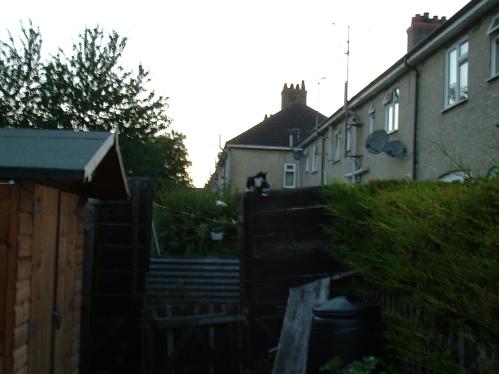dscf0002.jpg.jpg