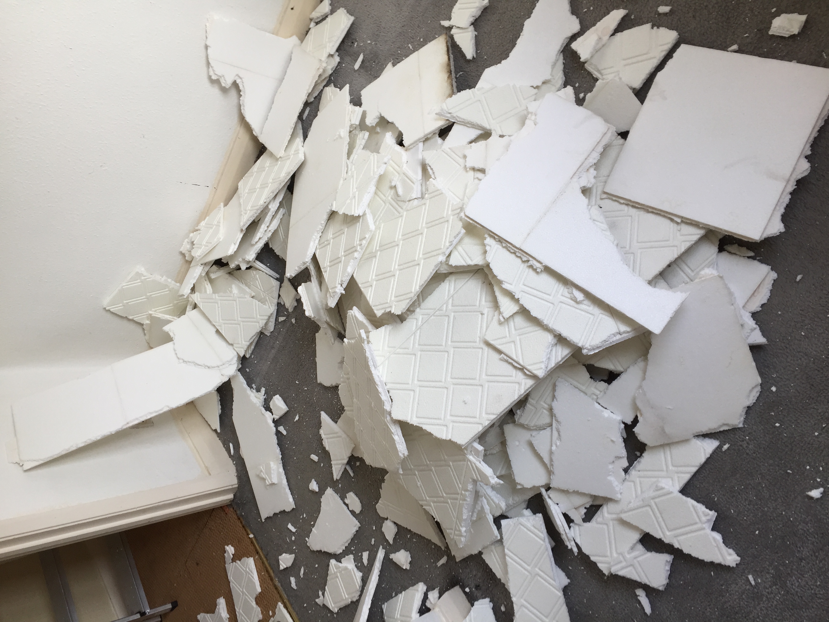 Ceiling Tiles from Front Bedroom