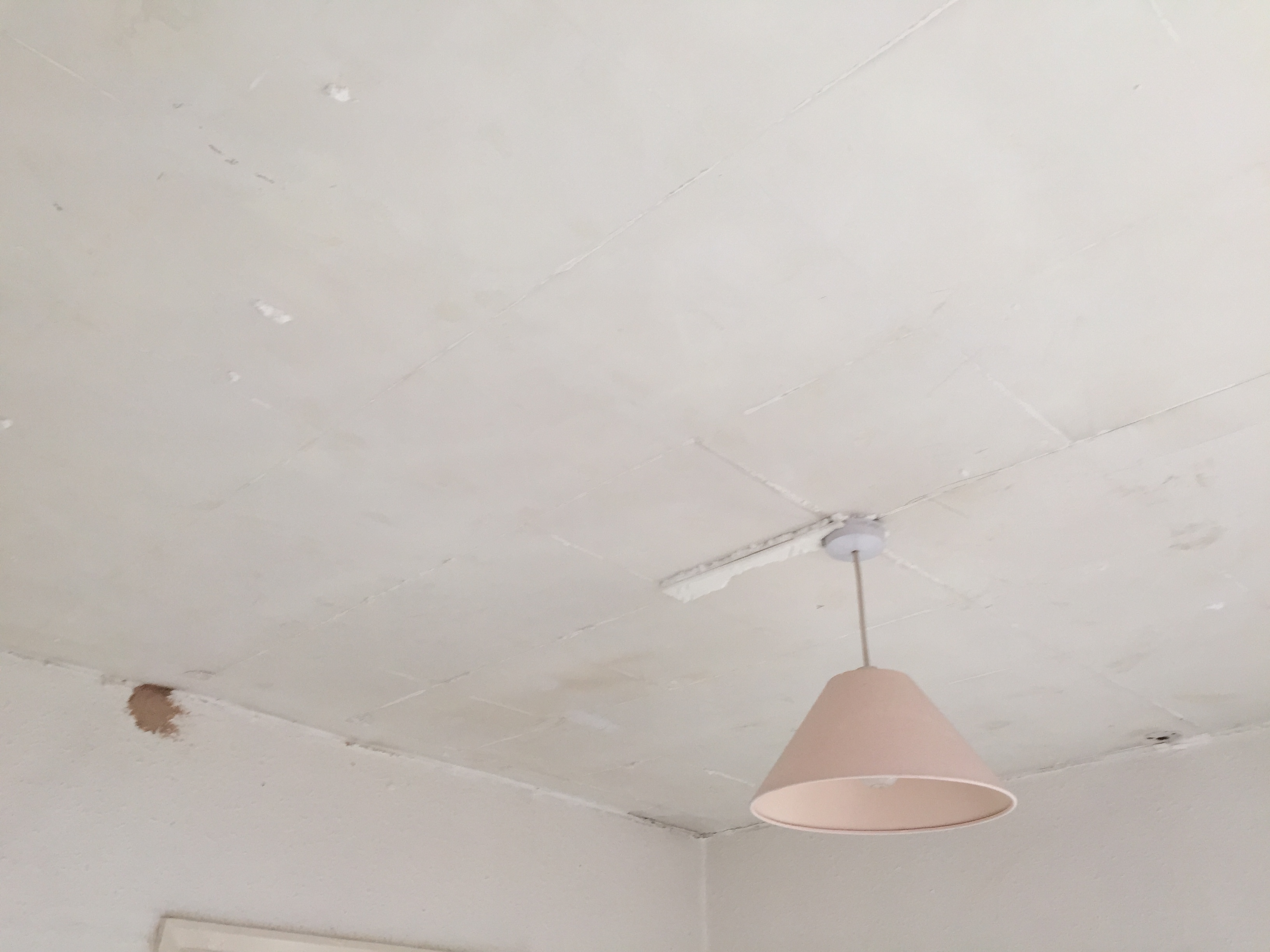 Front Bedroom with Ceiling Tiles removed