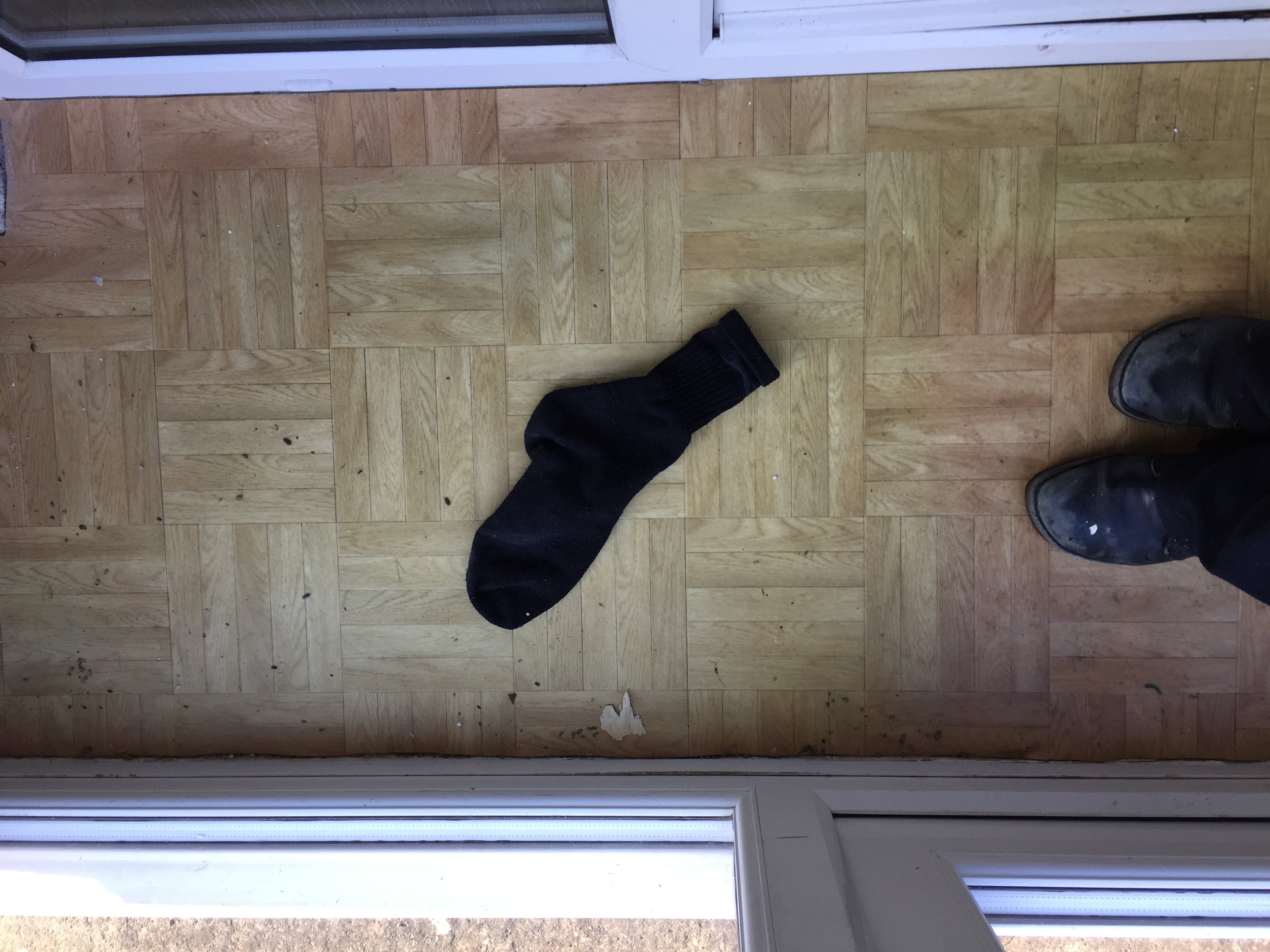 Would anyone like to claim this sock?!