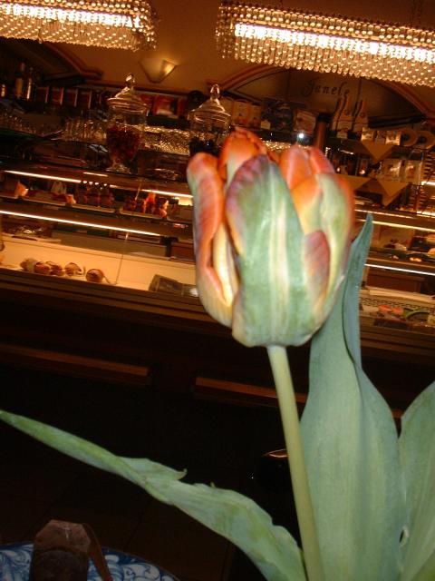 DSCF0060.JPG.jpg