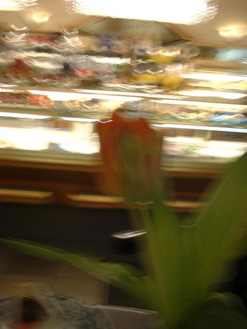 DSCF0061.JPG.jpg